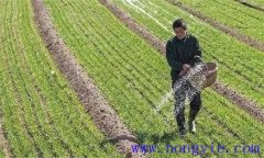 如何合理施用小麥返青肥和小麥拔節(jié)肥？