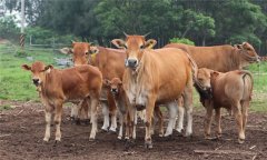 ?？谔阋甙Y狀及治療方法 如何治療?？谔阋? /></a>
            <a href=