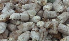 食用菌菌糠的營(yíng)養(yǎng)成分、用途與再利用前景分析