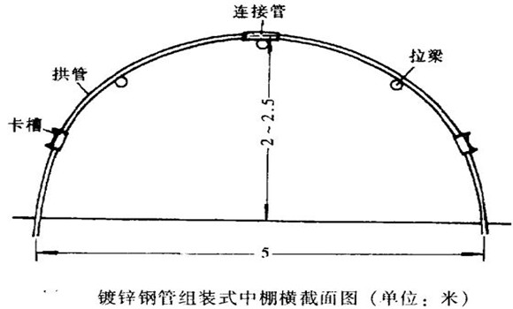 塑料中棚加外覆蓋能明顯使蔬菜早熟，效益高