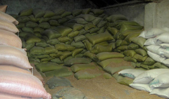 豬飼料的配方怎么配才長(zhǎng)得快 豬飼料的配制方法