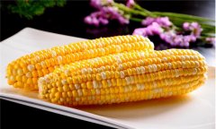 煮玉米需要多長時(shí)間，煮玉米的時(shí)間如何掌握