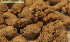 三七的功效與作用 三七的藥用功效