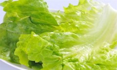 生菜的營養(yǎng)成分，生菜的營養(yǎng)價(jià)值及功效有哪些