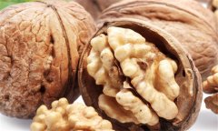 核桃的營養(yǎng)成分、營養(yǎng)價值與醫(yī)學價值簡介
