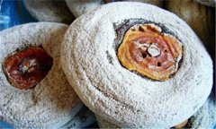 柿霜是什么？介紹柿霜的功效與作用及藥用價值