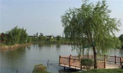 不同魚(yú)種塘的投飼、施肥方法是什么？