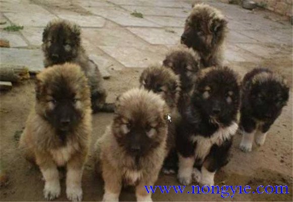 搞好衛(wèi)生，加強消毒