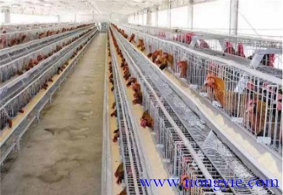 保溫、防暑和通風(fēng)性能好