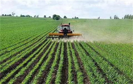 迅速用清水反復沖洗