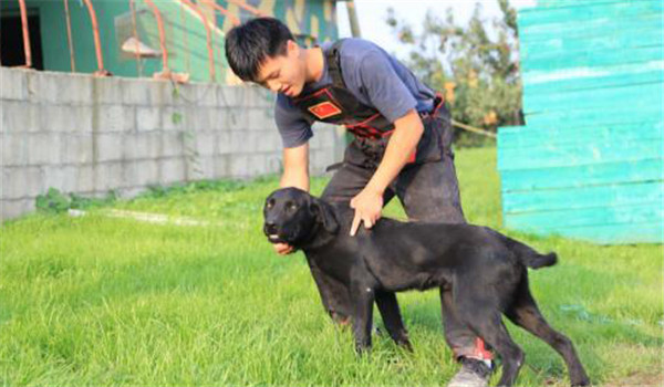 循序漸進(jìn)，由易到難