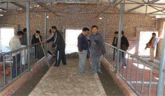 奶牛場(chǎng)設(shè)施設(shè)備有哪些，是如何分類的？