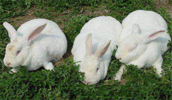 保證運動、多曬太陽