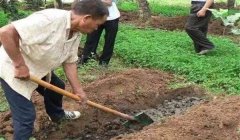 有機(jī)肥料的種類、特點(diǎn)與作用