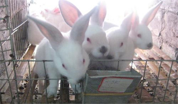 日根配合不合理、記錄不當(dāng)