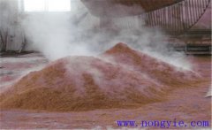 酒糟的營養(yǎng)成分有哪些？酒糟飼養(yǎng)肉牛的方法