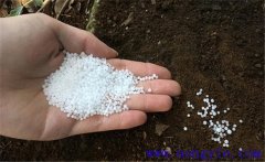 用尿素喂牛的方法，尿素喂牛應(yīng)注意的問題