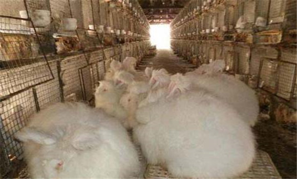 飼料要搭配、交換