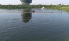 蟹苗怎么培育 蟹苗養(yǎng)殖技術(shù)與方法、步驟