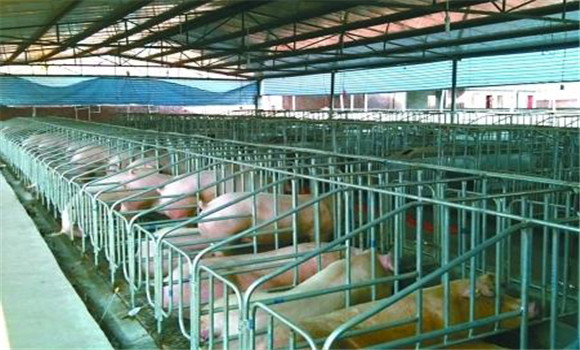 環(huán)保養(yǎng)豬場(chǎng)要投資多少錢(qián)