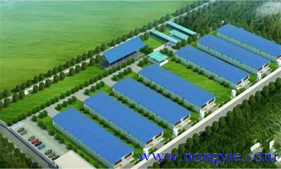 規(guī)?；B(yǎng)豬場選址要適當