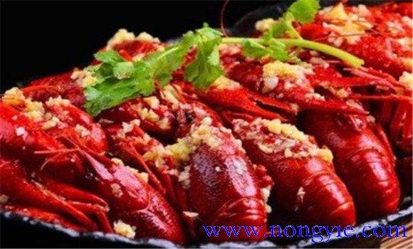 小龍蝦的營養(yǎng)價(jià)值