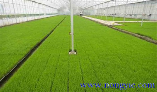 掌握好溫、濕度