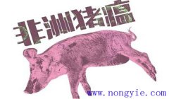 非洲豬瘟什么癥狀 非洲豬瘟的防控措施、要點