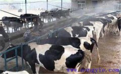 通風(fēng)對(duì)奶牛產(chǎn)奶與健康有什么影響？