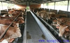 如何防止奶牛場糞便污染？