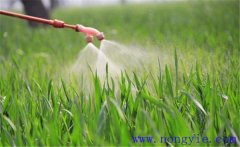 葉面肥的特點(diǎn)有哪些?常用葉面肥配制方法