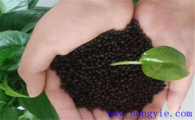 顆粒有機(jī)肥燒根嗎？