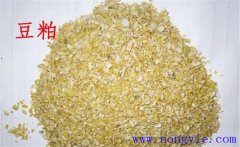 怎樣用豆粕喂牛，豆粕和豆餅喂牛效果一樣嗎？