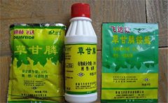 草甘膦除草劑使用范圍，使用多久能生效？