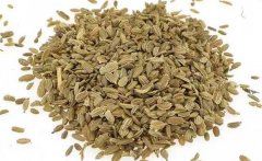 胡蘿卜分叉多是什么原因，怎樣種植胡蘿卜？