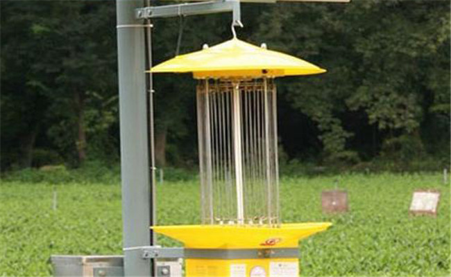 燈光誘蟲(chóng)巧妙養(yǎng)鴨技術(shù)