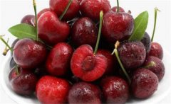 車?yán)遄右话銕自路萆鲜?？如何挑選車?yán)遄? /></a>
            <a href=