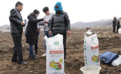 種豆角用什么做底肥，豆角如何追肥？