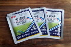 如何正確使用多效唑，用多了發(fā)生藥害怎么辦？