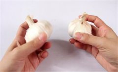 怎樣種植大蒜？大蒜栽培技術(shù)十大要點(diǎn)