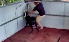 公羊頂人是什么原因引起的，公羊頂人怎么辦？