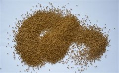 泥鰍的飼料以什么為主？養(yǎng)殖泥鰍的飼料建議配