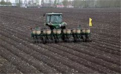 蠶豆的播種期、播種密度和播種方式