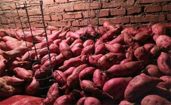 加強(qiáng)管理，降濕、保溫和通風(fēng)