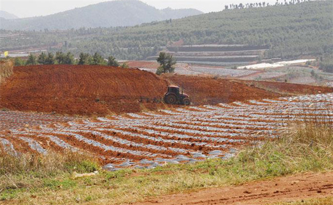 低產田改造培肥增產技術