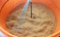 溫湯浸種方法與時間，溫湯浸種的溫度是多少？