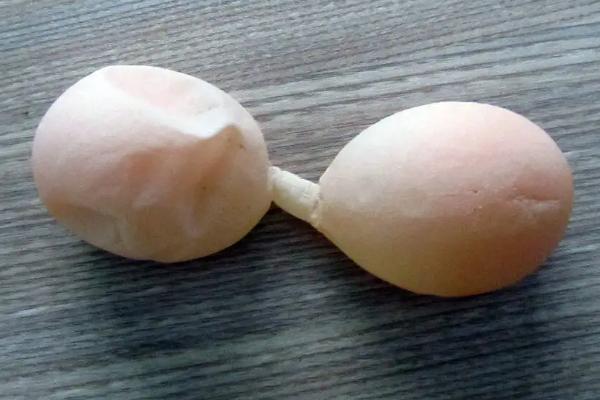 雞下軟蛋怎么辦、如何防治