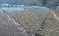 大棚骨架間距多少如何制作 大棚骨架類型有哪些