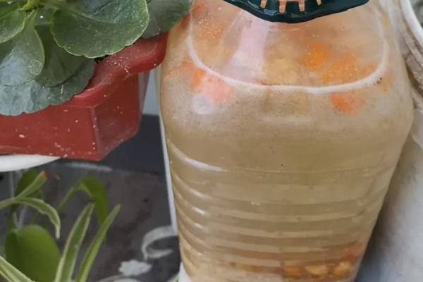 黃豆?jié)a肥的具體做法