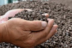 雞糞肥屬于有機肥嗎？雞糞肥和羊糞肥哪個好？